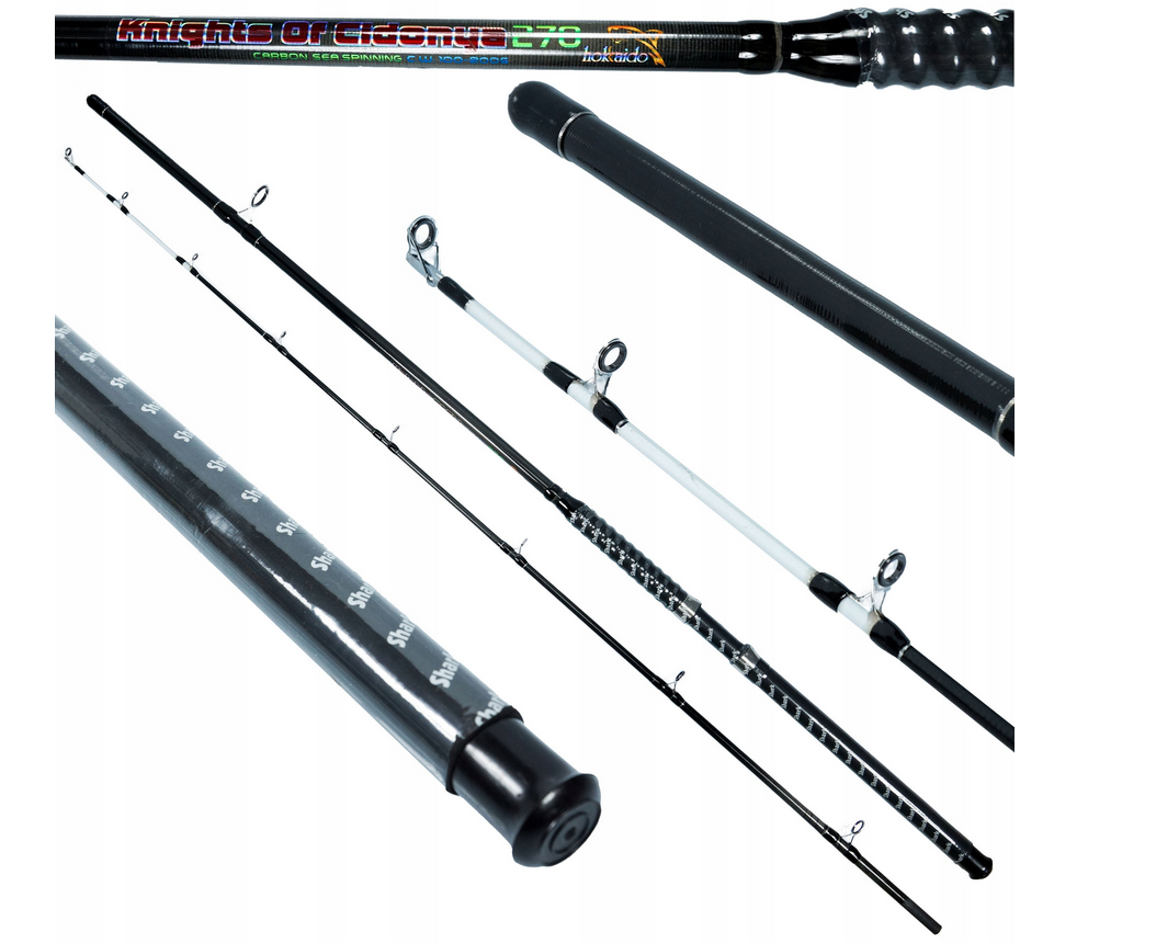 Sumcový prut 2,4 m / 100–200 g