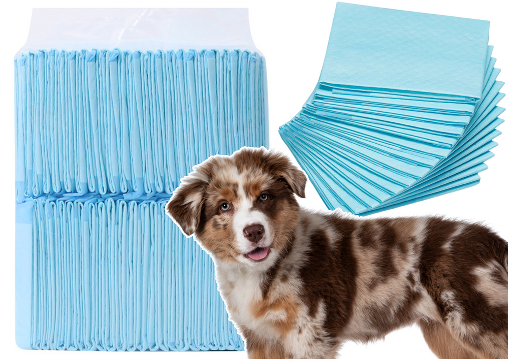 Absorpčné hygienické podložky LEAN pre zvieratá, 40 ks, 60 × 60 cm – vysoká absorpčná schopnosť s indikátorom vlhkosti